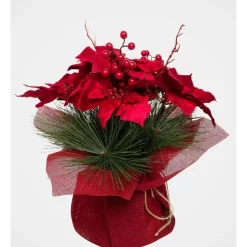 Flash Sale 🎉 Myer Giftorium Heirloom Potted 🎁 Christmas Poinsettia With Pine Detail ✨