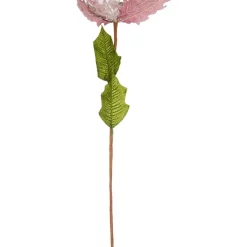 Brand new 🔥 Myer Giftorium Luxe Pale Lilac Poinsettia With Pearls Pick 😉